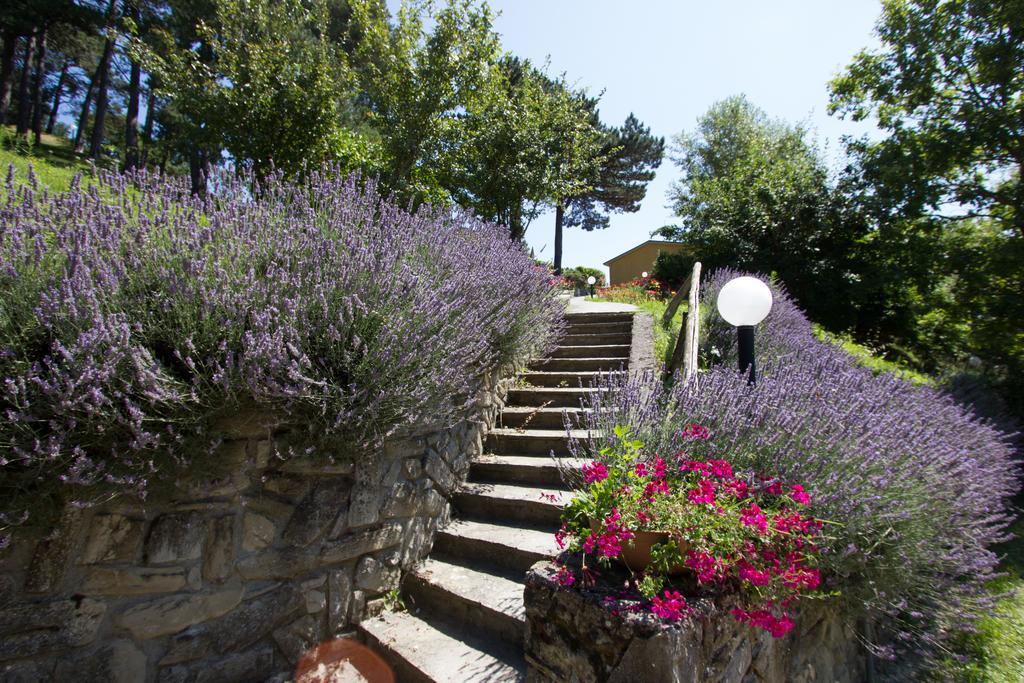 Antico Borgo I Cancelli 팔라쭐로술세뇨 외부 사진